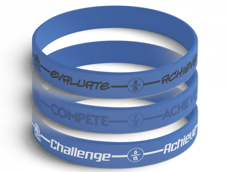 Achieve R15E step