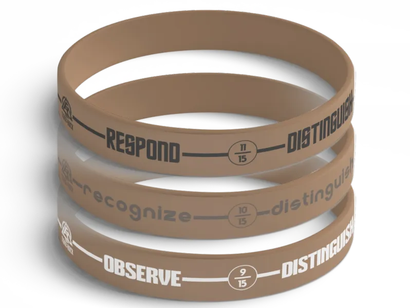 Distinguish R15E step