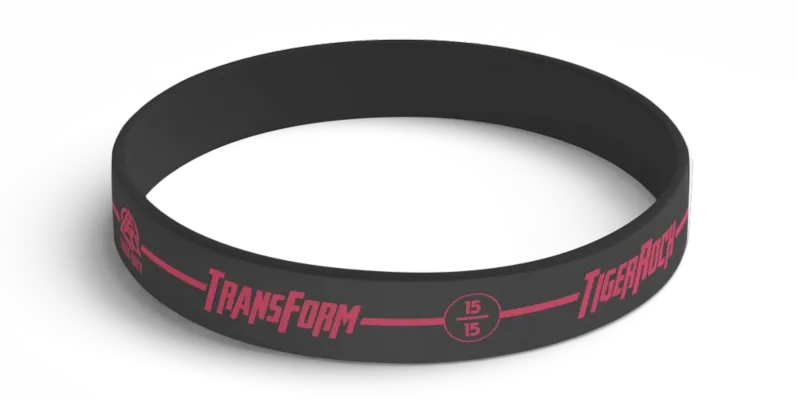 Transform R15E step